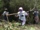 ONU alerta que las desapariciones forzadas persisten pese a avances internacionales