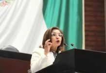“Detrás de cada estadística hay una familia esperando respuestas”: Letty Gutiérrez pone rostro humano a la agenda legislativa