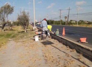 Intensa semana de trabajo de Servicios Públicos en colonias de Reynosa