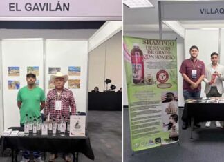 Participa Tamaulipas en Expo Cooperativas 2026