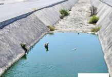 Pone Gobierno de Carlos Peña Ortiz a salvo a canino atrapado en canal de Puerta Grande
