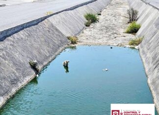 Pone Gobierno de Carlos Peña Ortiz a salvo a canino atrapado en canal de Puerta Grande