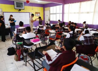 Se integrarán a las aulas 80 maestros municipales durante dos años