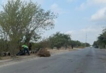 Continúa con la limpieza y mantenimiento de calles y avenidas