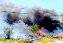 Bomberos acuden a sofocar incendio de pastizal en la Almaguer