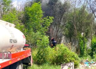 Bomberos sofocan incendio en predio baldío dejo solo daños fue provocado