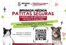Llevará Gobierno de Carlos Peña Ortiz Brigada Médica Patitas Seguras al Fraccionamiento Terranova