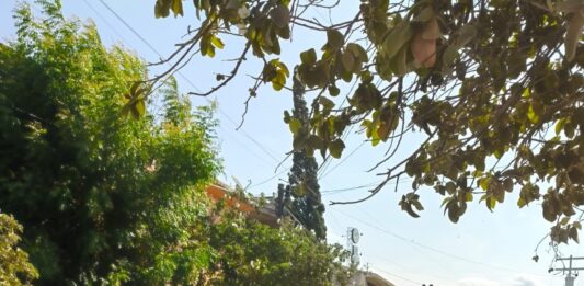 Exhorta COMAPA Reynosa a cuidar las redes sanitarias evitando arrojar desechos a las alcantarillas