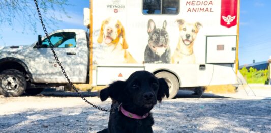 Visitó Control y Bienestar Animal el Refugio Mary con campaña de esterilización