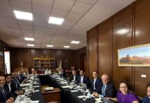 Maki Ortiz impulsa acuerdos para avanzar en legislación de bienestar animal en México