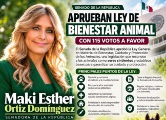 Maki Ortiz celebra aprobación de Ley de Bienestar Animal; Senado la avala con 115 votos