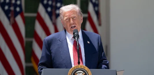 Trump va por políticos mexicanos que ‘ayuden’ a cárteles: ‘Traicionan la soberanía de su propio país’
