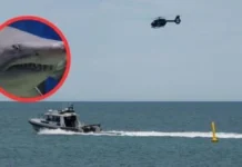 Un hombre muere tras el ataque de un tiburón de 2.5 metros en una playa