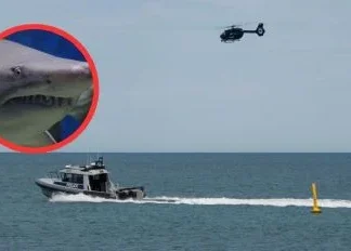 Un hombre muere tras el ataque de un tiburón de 2.5 metros en una playa