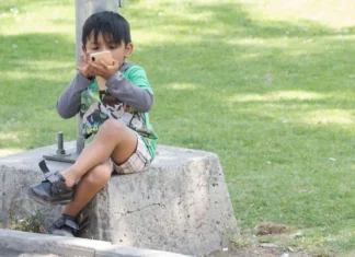 Más pantallas, menos atención: el desafío que está transformando las aulas mexicanas: consultora