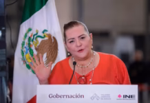 Guadalupe Taddei renuncia al INE; llama a esclarecer “los hechos que deban investigarse”