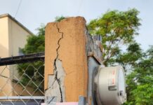Registró Medio Ambiente de Reynosa tala ilegal de árbol en Campestre Bugambilias