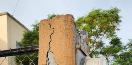 Registró Medio Ambiente de Reynosa tala ilegal de árbol en Campestre Bugambilias