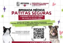 Llevará Gobierno de Carlos Peña Ortiz Brigada Médica Patitas Seguras a la Nuevo Amanecer