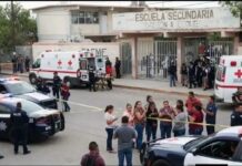 Gobierno prepara decreto para obligar a plataformas a retirar contenidos que inciten a la violencia