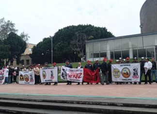 Se alinean gremios de Matamoros con alianza nacional de Morena