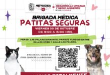 Invita Control y Bienestar Animal a brigada médica en Palmas Diamante