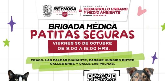 Invita Control y Bienestar Animal a brigada médica en Palmas Diamante
