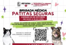Realiza Gobierno de Carlos Peña Ortiz Brigada Médica Patitas Seguras en Los Fresnos