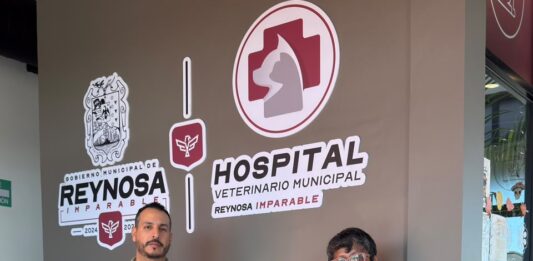 Liberó Control y Bienestar Animal a una zarigüeya en su hábitat natural