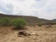 Sequías, inundaciones y temperaturas extremas: el desafío de 5 millones de productores en México
