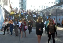 Población con empleo formal en México desciende en 267 mil personas; informalidad toca su cifra más baja en 2026