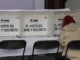TEPJF corrige al INE y le ordena invalidar boletas sin dobleces en elecciones 2027